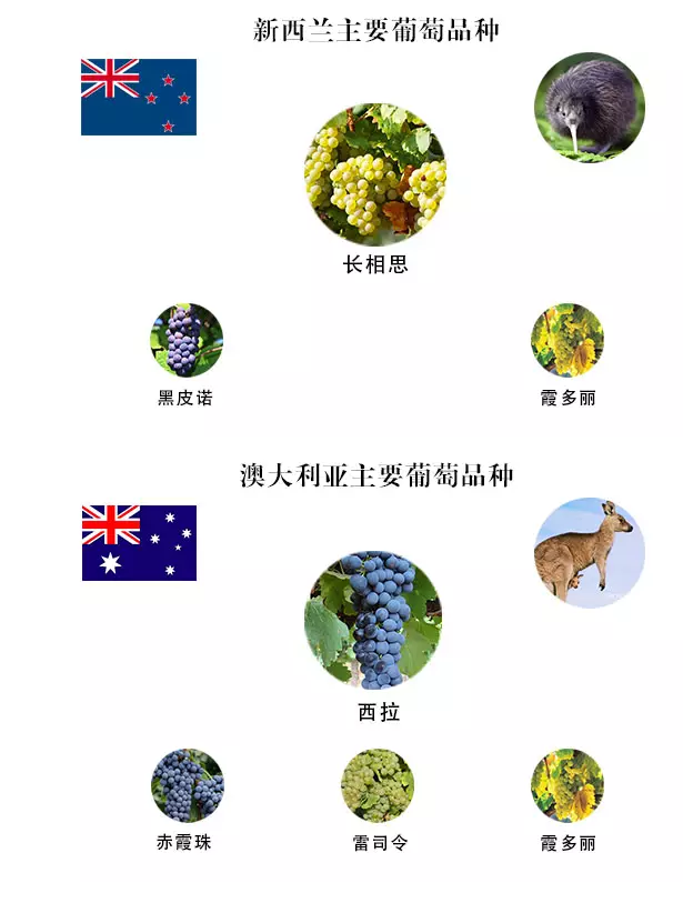 搜狗截图15年08月25日1223_4.png 搜狗截图15年08月25日1223_4.png