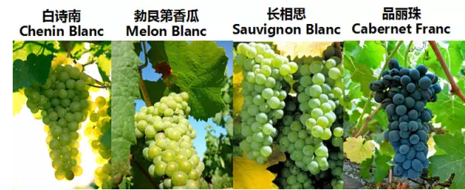 搜狗截图15年10月26日1036_3.png 搜狗截图15年10月26日1036_3.png